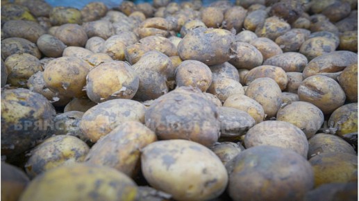 ������������ ��� � �������: ��� ������� ������� ����������� �����