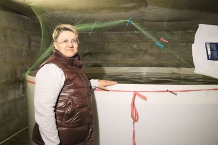 ��������� �����: ��� ����� �� ���������� ������ ������������ ��������� ����� ����� �� �����