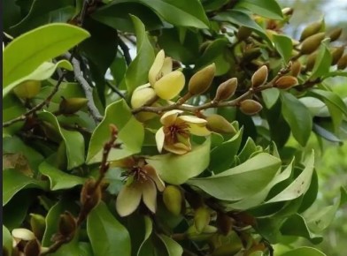 ������� �����: ��� ����� ����� � �������� ���� � �������� �������