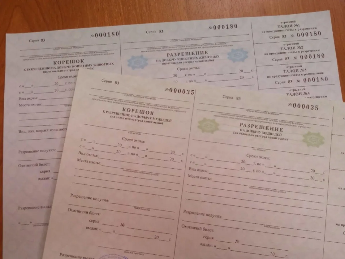 В НАО распределят разрешения на добычу лося, бурого медведя и выдры