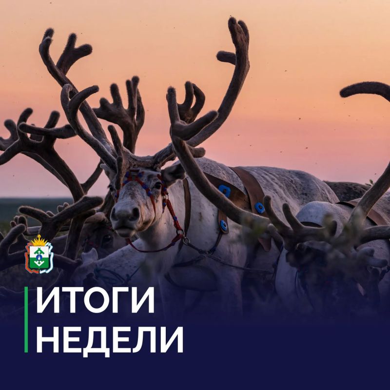Ирина Гехт: Подвожу итоги рабочей недели