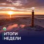 Ирина Гехт: Подвожу итоги рабочей недели