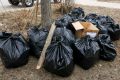 Для вывоза мусора после субботника нужно обращаться в «Чистый город»
