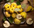 Айва: осенний кладезь витаминов и вкусовых открытий