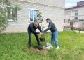 Активисты НарьянМара украшают свои микрорайоны