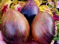 Томат Тайна Галактики: скрытая красота и неповторимый вкус