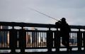 Опрос показал, что россияне ценят в рыбалке возможность отдохнуть