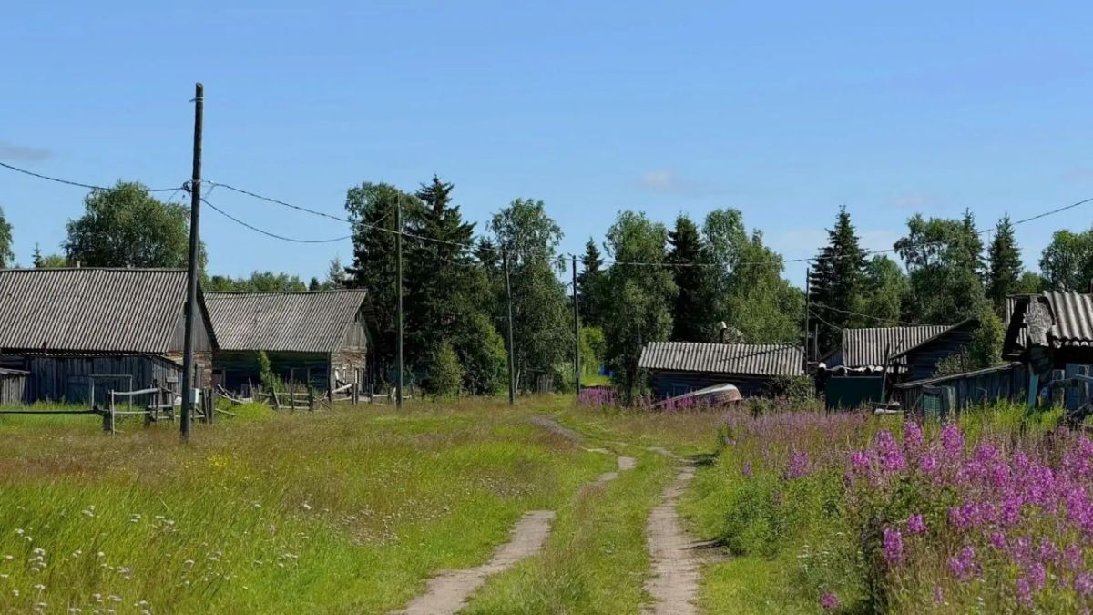 Теплое лето пришло в Щелино Теплое лето пришло в Щелино