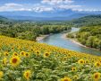 Кубань заняла 75-е место в рейтинге доступности жилья