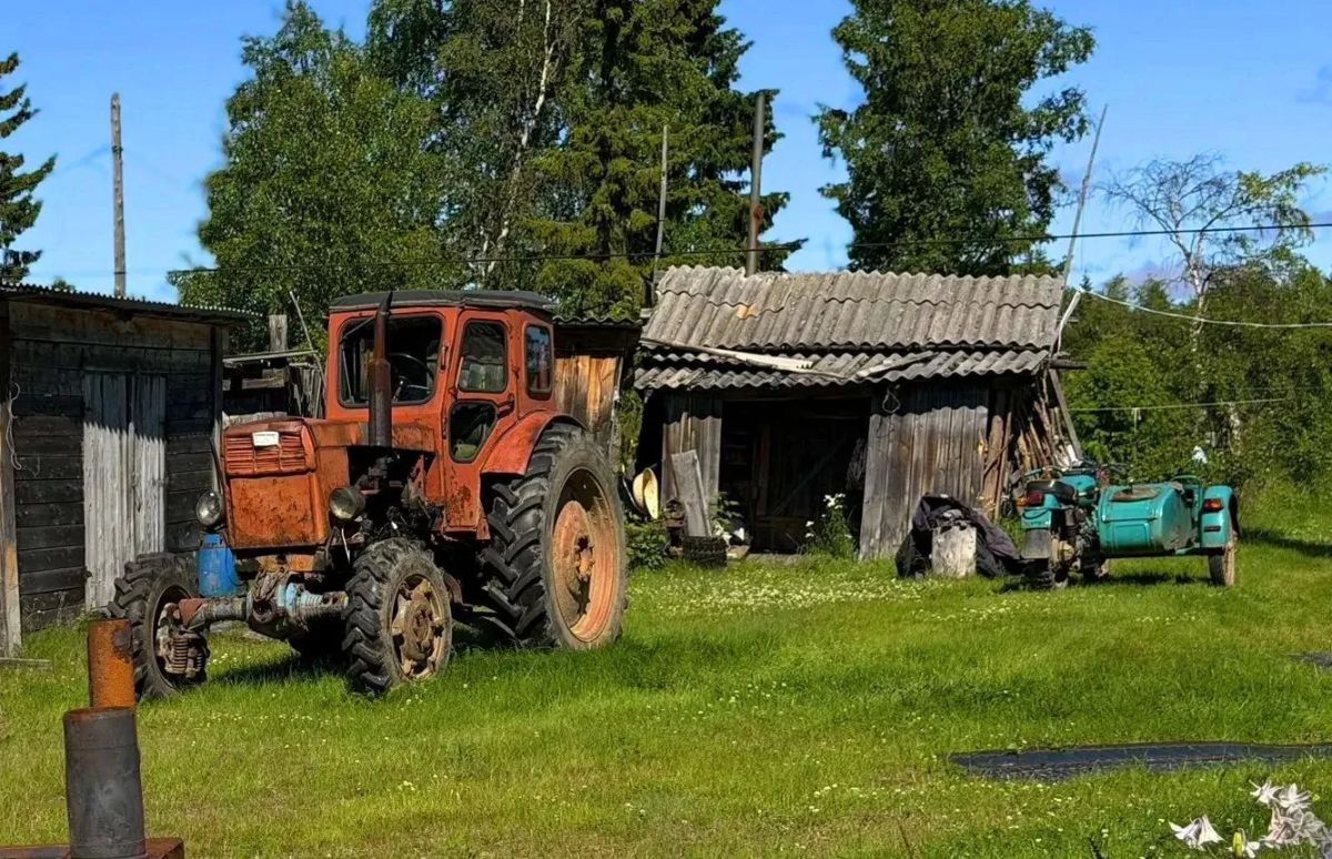 Теплое лето пришло в Щелино Теплое лето пришло в Щелино