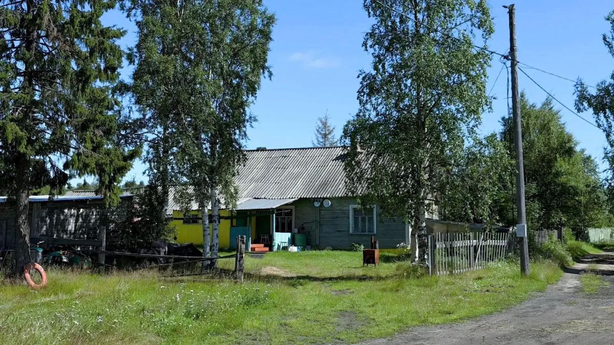 Теплое лето пришло в Щелино Теплое лето пришло в Щелино
