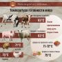 Советы по приготовлению мясных блюд: как достичь идеальной готовности