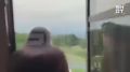 Появилось видео начала конфликта с туристками в Грузии, избитых за русский язык