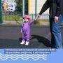 �� ��� ����� ��������� ������������ ����������: ����������� ��� ������������� �������� ������������