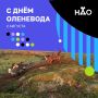 Сегодня в Ненецком автономном округе отмечается День оленевода