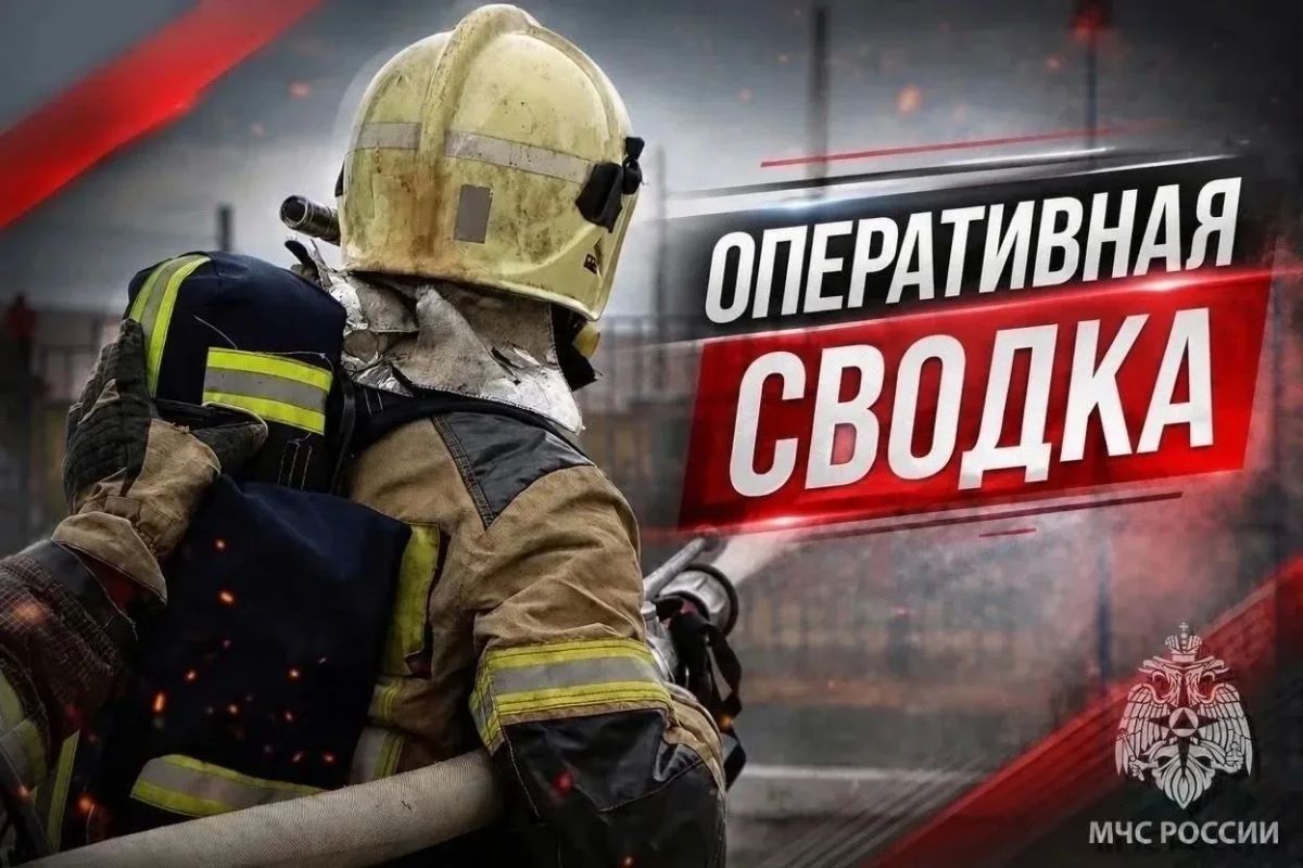 #ОПЕРАТИВНАЯСВОДКАНАО. За 13 августа на территории Ненецкого автономного округа пожаров не зарегистрировано