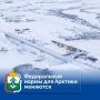 Ирина Гехт: Мосты и снег — вещи, казалось бы, совсем разные