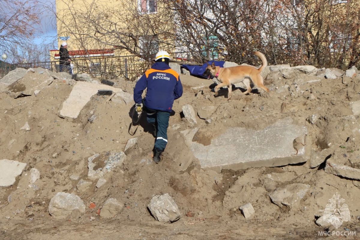 Спасение из-под завалов. В Нарьян-Маре состоялась тренировка Ненецкого АКАСЦ МЧС России по ликвидации последствий чрезвычайных ситуаций техногенного характера Спасение из-под завалов. В Нарьян-Маре состоялась тренировка Ненецкого АКАСЦ МЧС России по ликвидации последствий чрезвычайных ситуаций техногенного характера