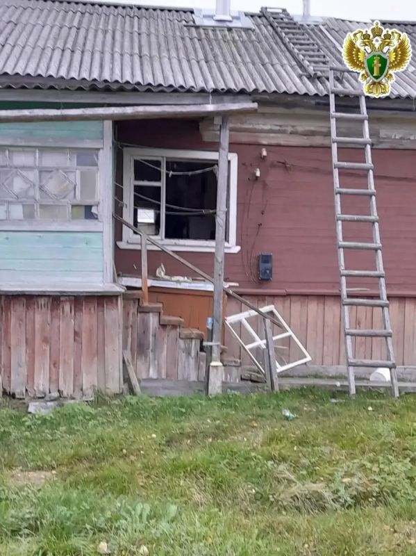 МЕДВЕДИ ЗАХОДЯТ В ДОМА В АРХАНГЕЛЬСКОЙ ОБЛАСТИ МЕДВЕДИ ЗАХОДЯТ В ДОМА В АРХАНГЕЛЬСКОЙ ОБЛАСТИ